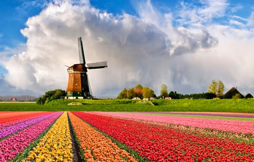 Vacaciones en Holanda